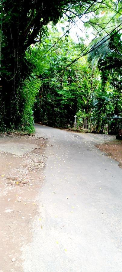 Green Villa Hikkaduwa Exterior foto